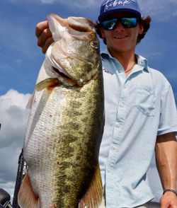 Largemouth bass caught while fishing in Davie