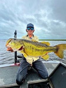 Angler fishing in Florida