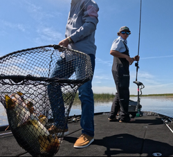 Person fishing in Florida