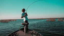 Person fishing in Davie