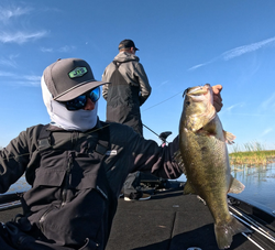 A person fishing in Davie