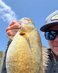 Fish-Species
