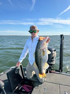 Everglades bass on deck!