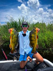 Bass fishing Florida's heart.