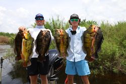 The Bass in Everglades never let me down.