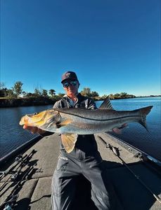A snook caught while fishing in FL