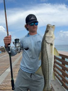 Snook fish caught in Davie