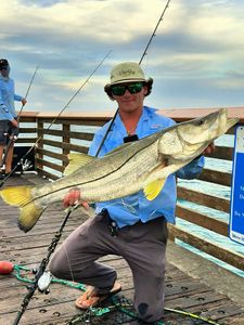 Snook fish caught while fishing in FL