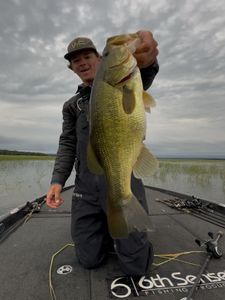 Angler fishing in Davie