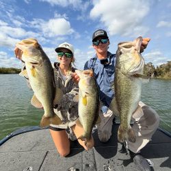 Three Largemouth Bass and Florida Bass caught while fishing in FL