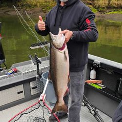 Fish-Species