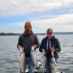 Four sea trout and coho salmon in a fishing scene in Oregon