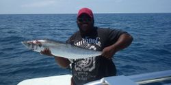 Tampa Bay's King Mackerel 