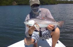 Redfish caught while fishing in St. Petersburg