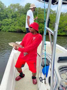 Black Drum fishing in St. Petersburg