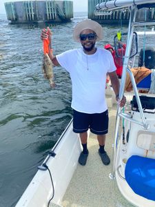 Gag grouper caught fishing in FL