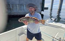 A gag grouper caught while fishing in FL.