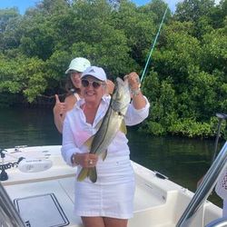 Snook fishing in Tampa Bay 