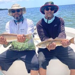 Inshore fishing magic, Tampa style.