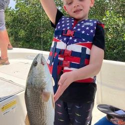 Unleash adventure with Tampa charters.
