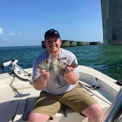 Tampa's inshore fishing treasures. Tripletail 2023