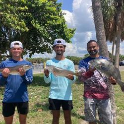 Cast off for Tampa fishing. Redfish, Black Drum 