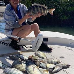 Explore Tampa with inshore fishing.