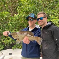 Embark on Tampa Bay's inshore journey.