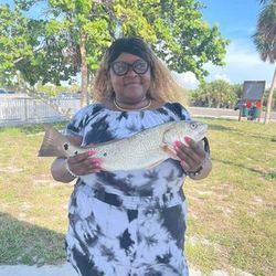 Unforgettable Tampa Bay fishing adventures.
