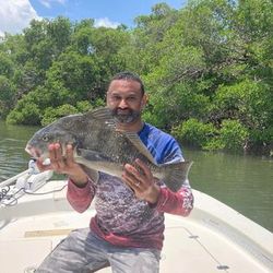 Best Florida fishing charters available