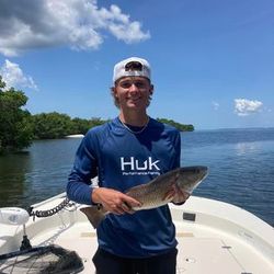 Explore Tampa Bay with charters, redfish fishing 