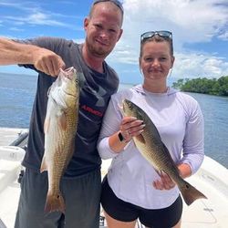 Tampa's finest redfish fishing experiences.