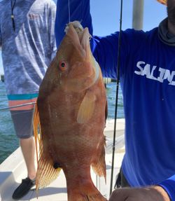 A fishing trip in FL