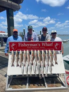 Redfish And Trout Hauls In Rockport, TX