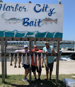 8 big fish caught while fishing in TX