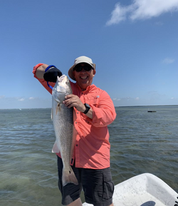 Redfish caught in TX