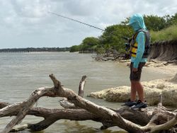 Angler fishing from rocky shoreline with driftwood in Aransas Pass TX