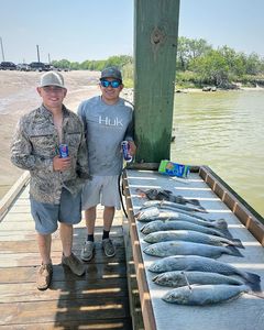 Fish-Species