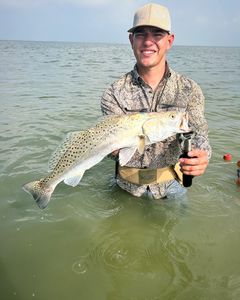 Fish-Species