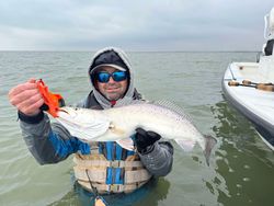 Fish-Species
