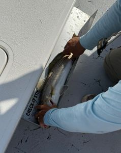 Anglers fishing in Corpus Christi