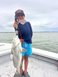 Black drum catch on fishing boat in Corpus Christi TX waters