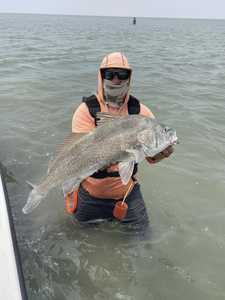 Fisherman with a black drum fish in TX