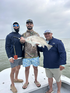 Caught a big one!