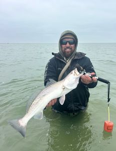 Corpus Christi fishing adventure with big 23-inch fish