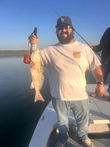 Fresh caught redfish displayed on fishing boat in Corpus Christi TX