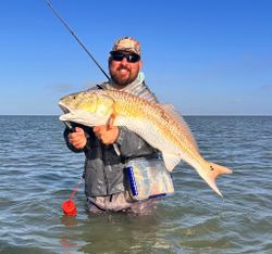 Redfish catch in Corpus Christi TX shallow water fishing