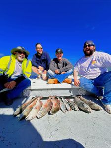 Successful fishing trip displaying multiple redfish caught in Corpus Christi TX