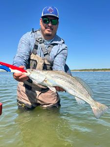 Speckled trout catch in Corpus Christi TX shallow water fishing