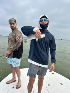 Speckled trout catch on fishing boat in Corpus Christi TX waters